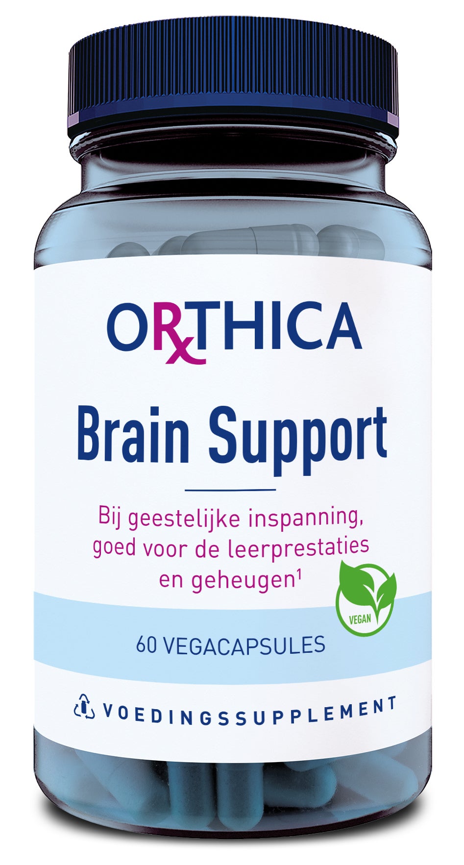 brain support